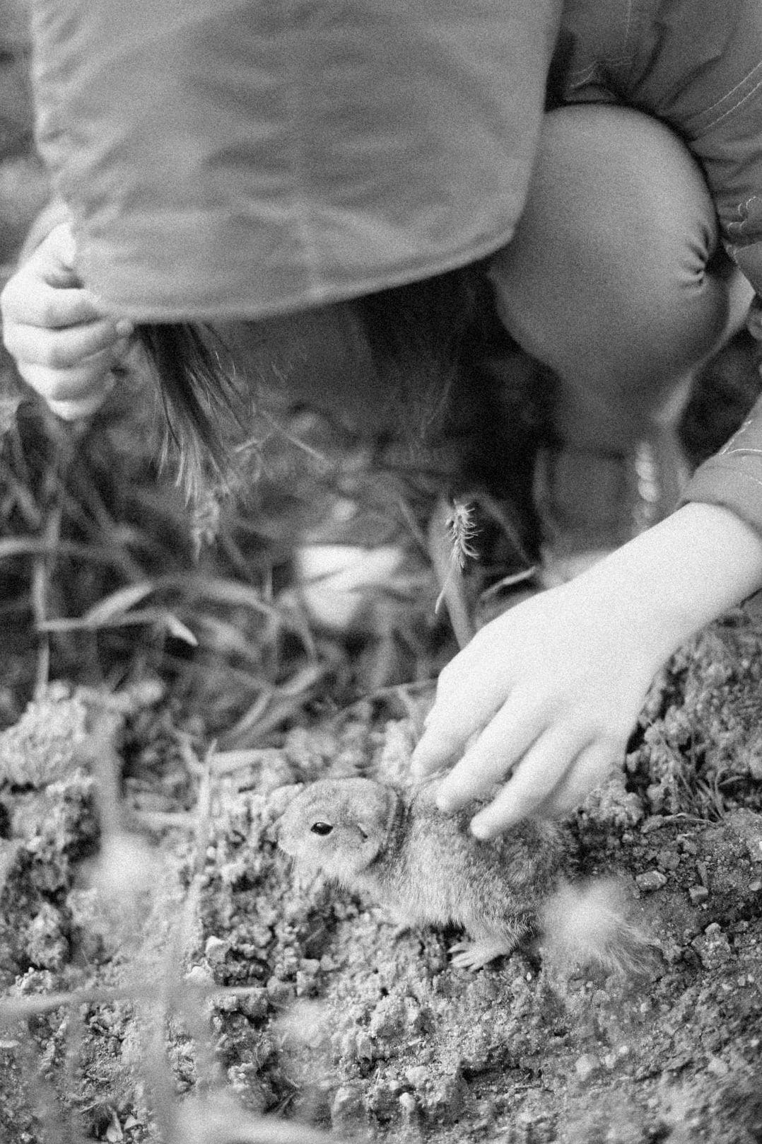 季節の植え替えで庭を長く楽しむためのコツ